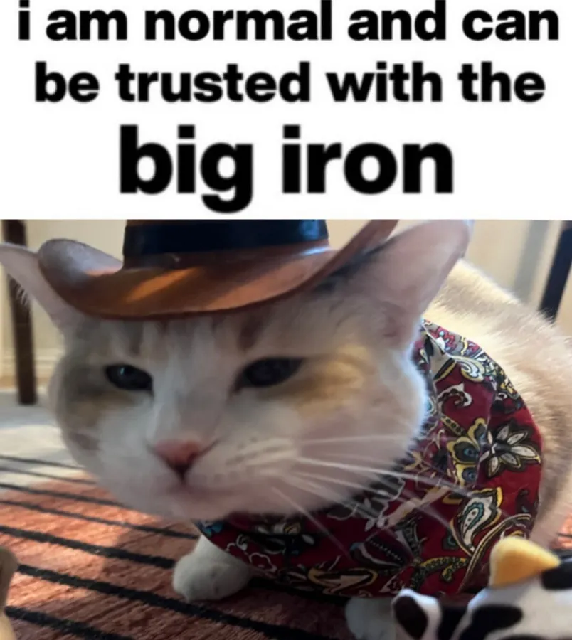 Untitled meme