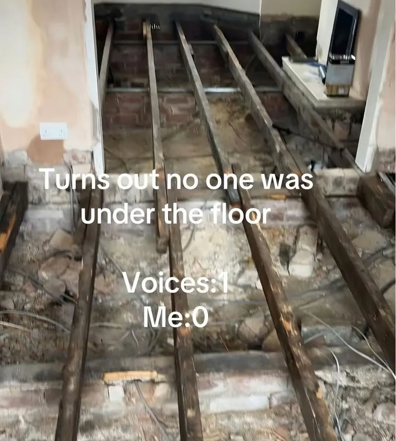 Untitled meme