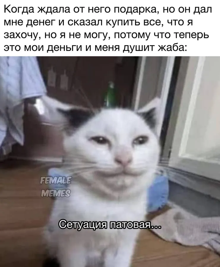 Untitled meme