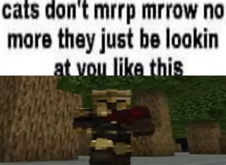 Untitled meme