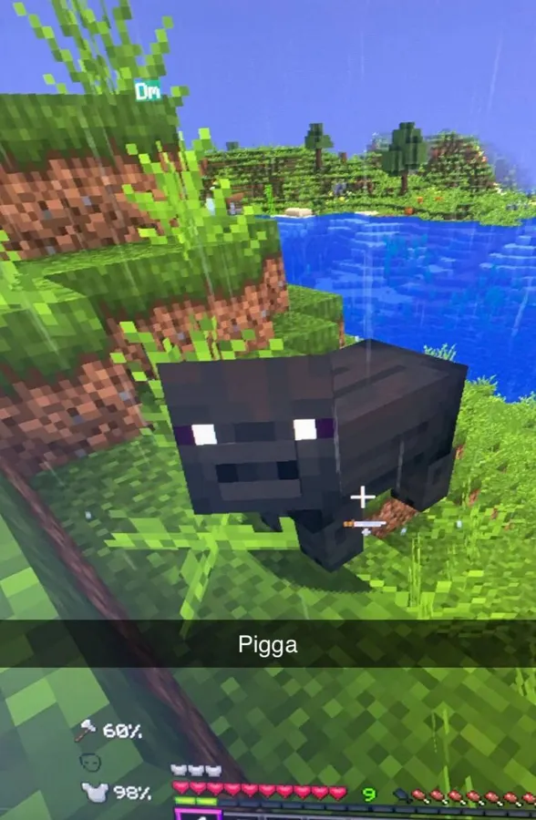 Untitled meme