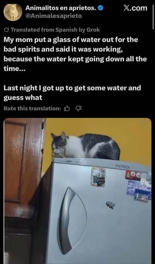 Untitled meme
