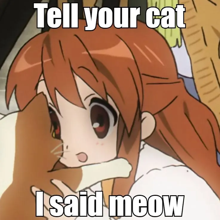 Untitled meme