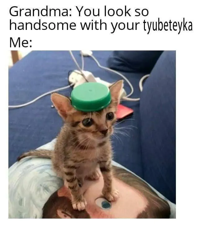 Untitled meme