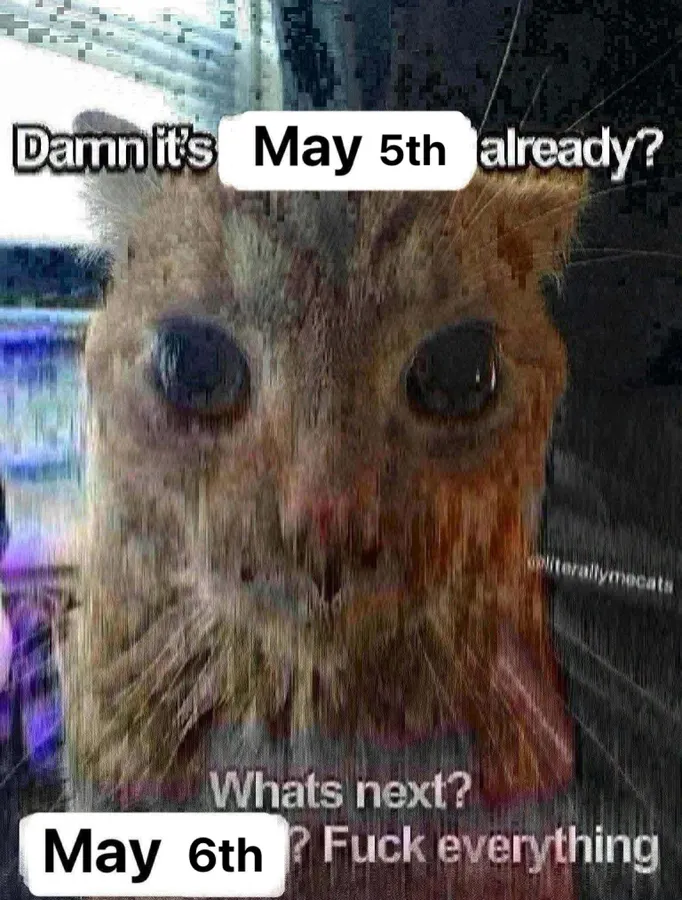 Untitled meme
