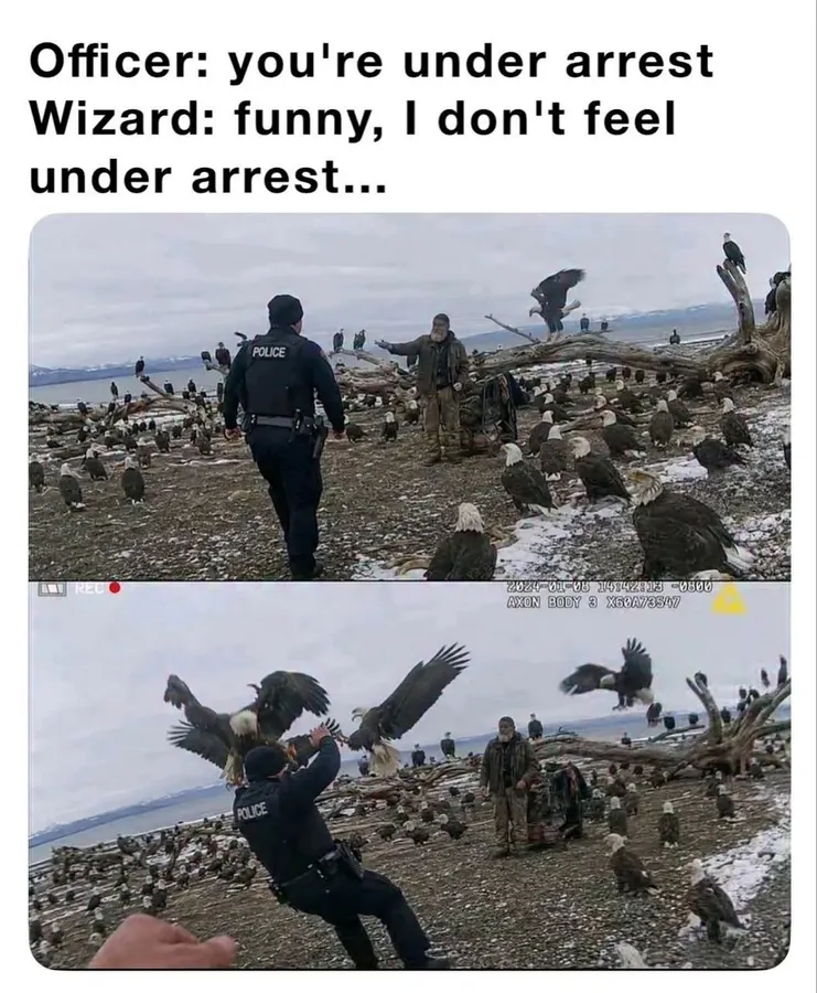 Untitled meme