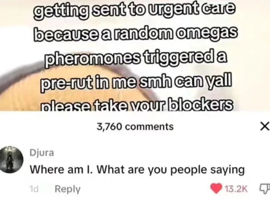 Untitled meme