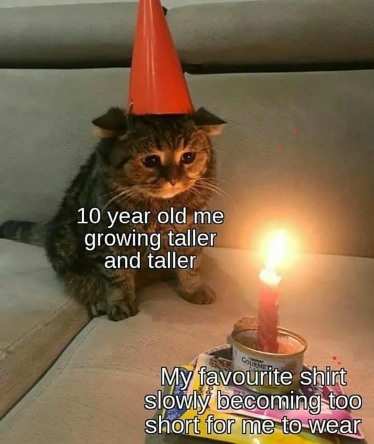 Untitled meme
