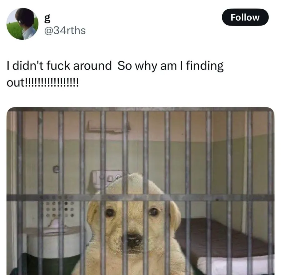 Untitled meme