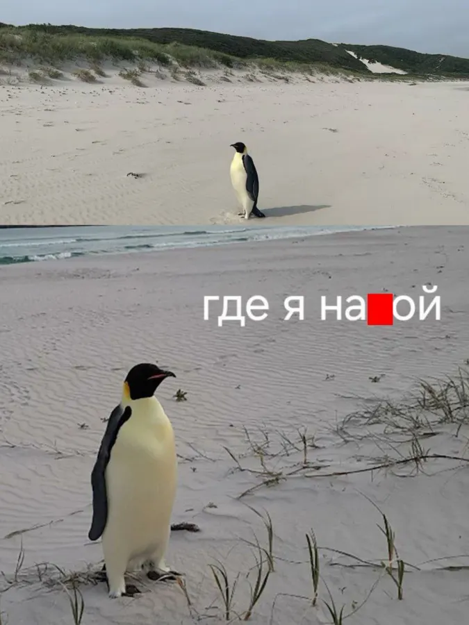 Untitled meme