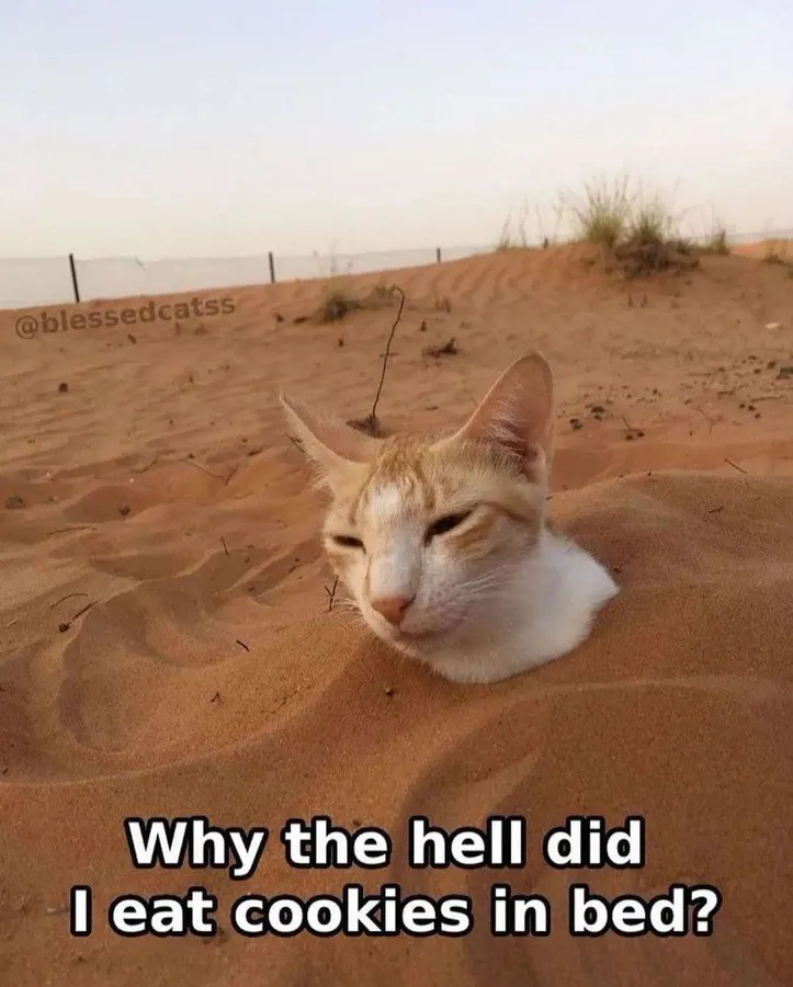 Untitled meme