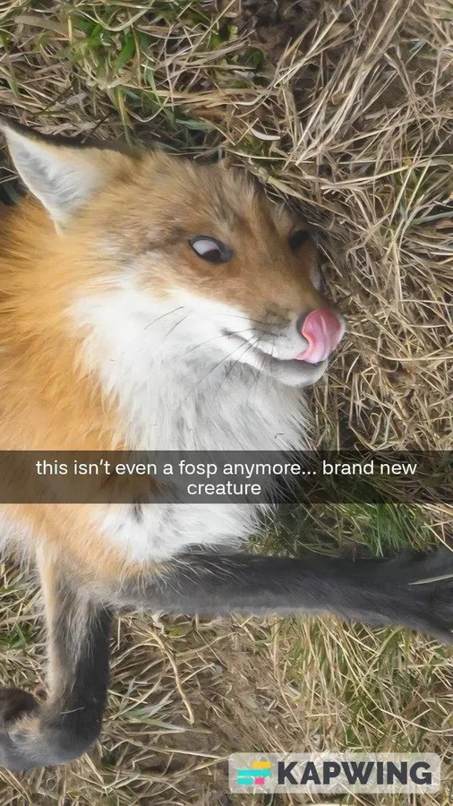 Untitled meme