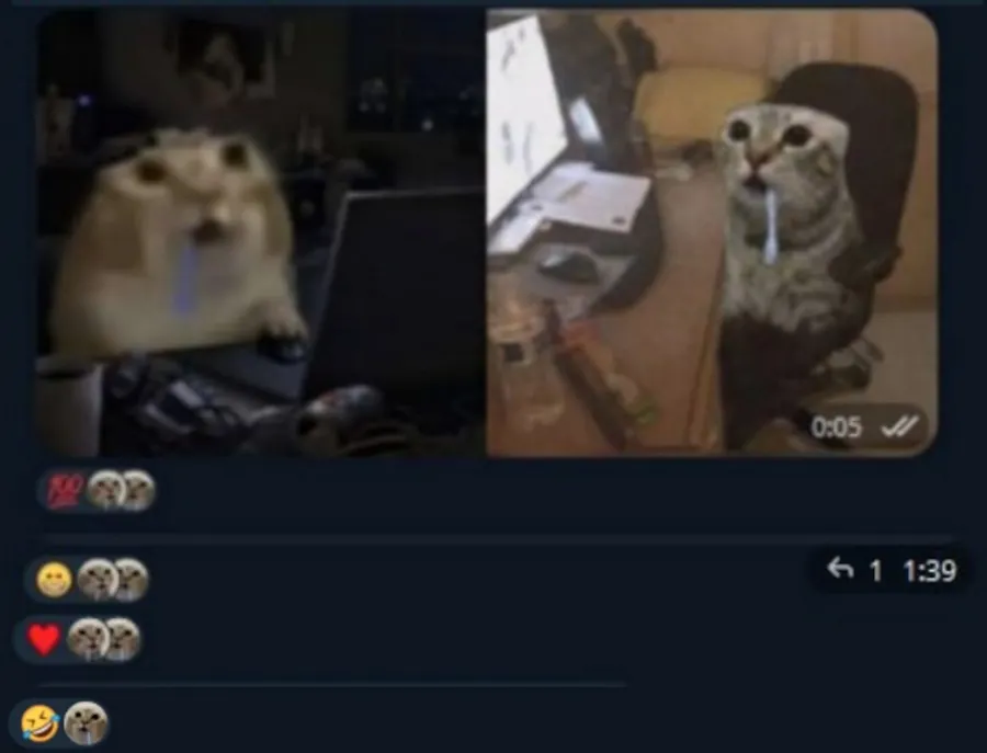Untitled meme