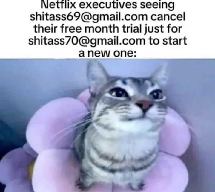 Untitled meme