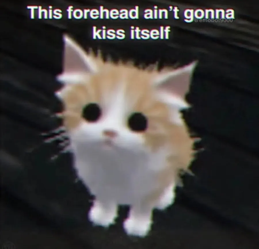 Untitled meme