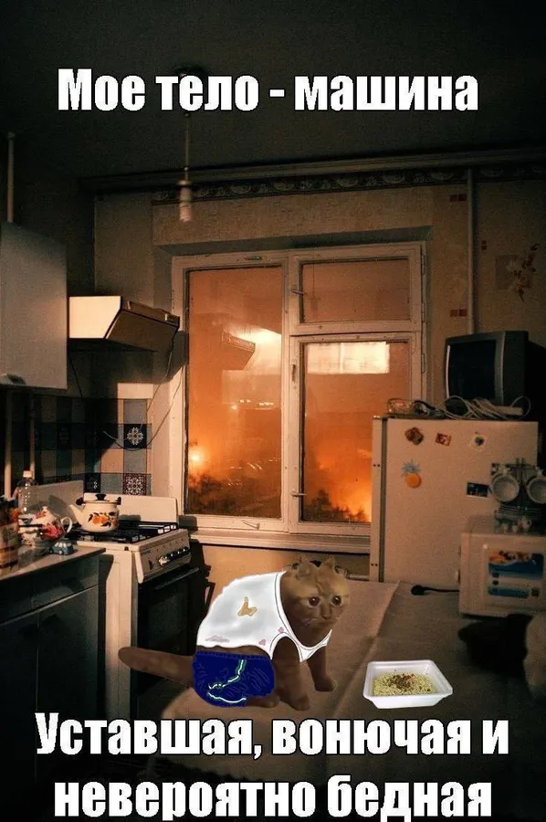 Untitled meme