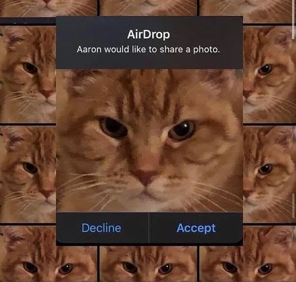 Untitled meme