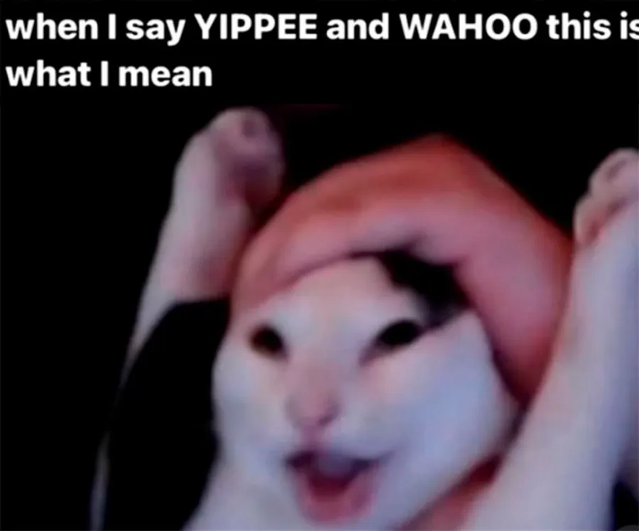 Untitled meme