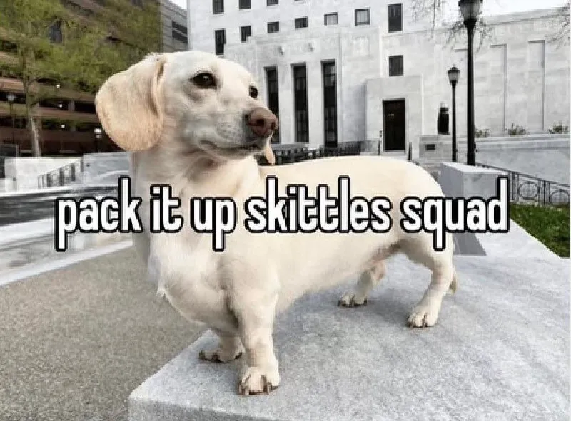 Untitled meme