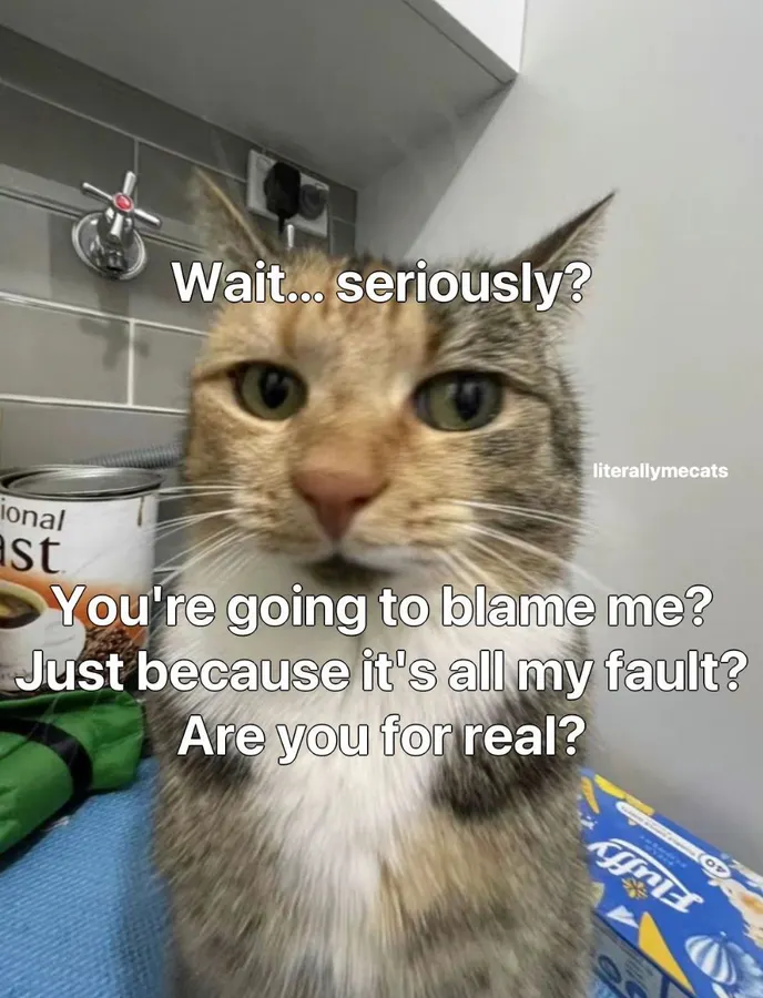 Untitled meme