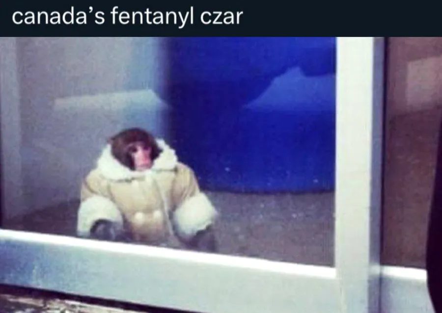 Untitled meme
