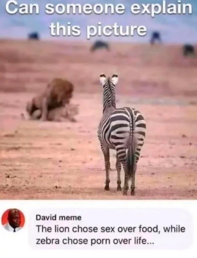 Untitled meme