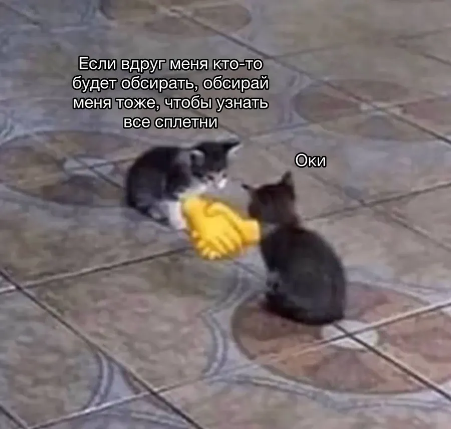 Untitled meme
