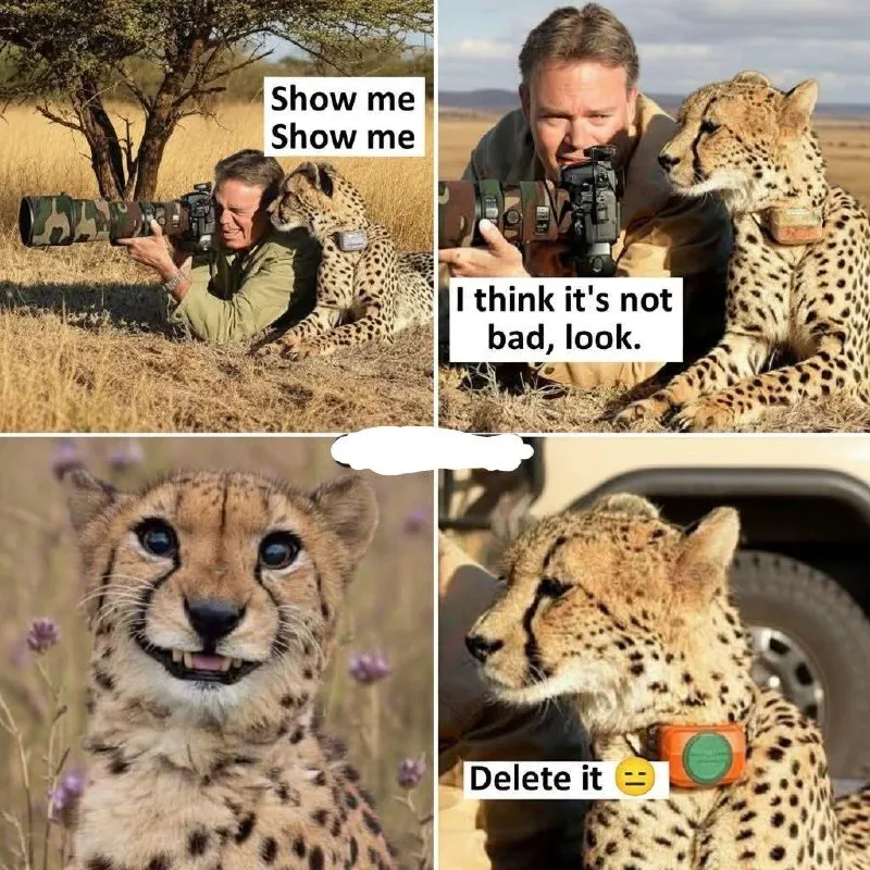 Untitled meme