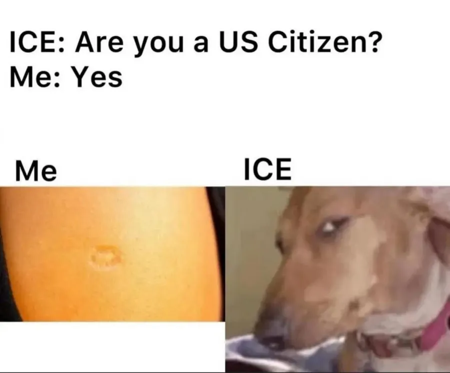 Untitled meme