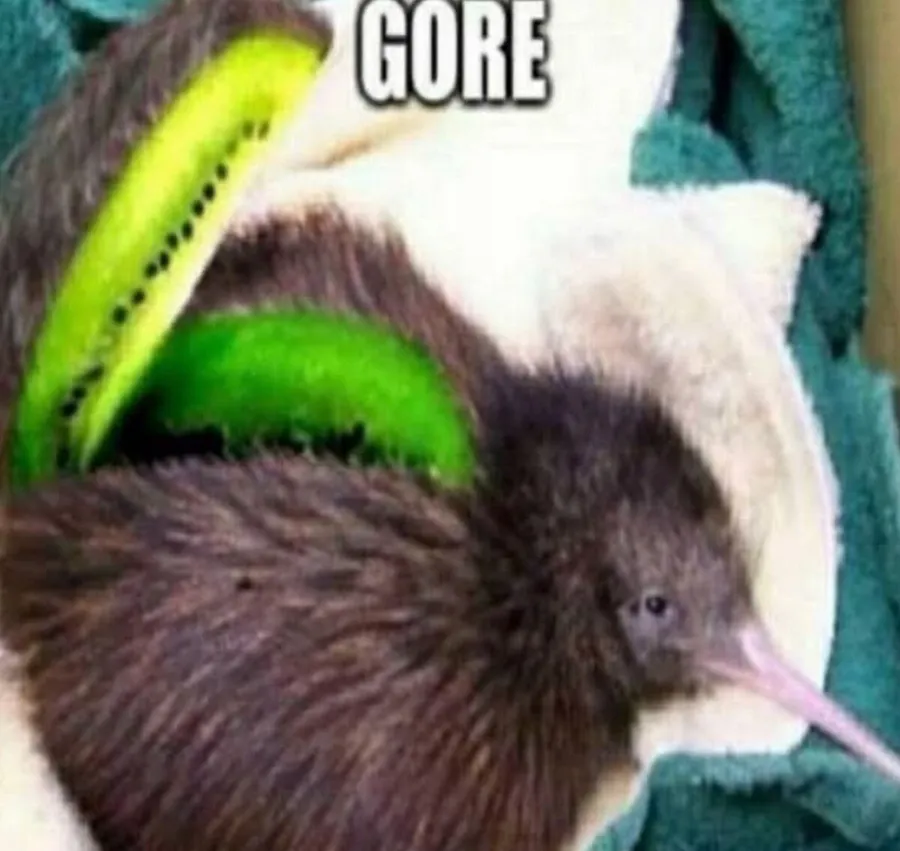 Untitled meme
