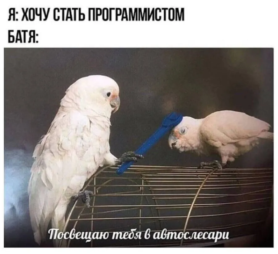 Untitled meme