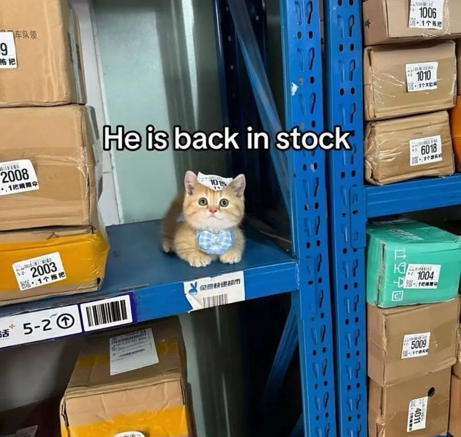 Untitled meme