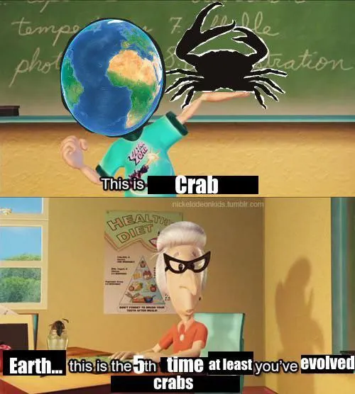 Untitled meme