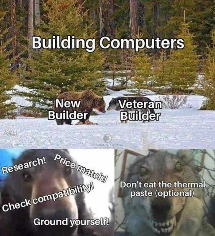 Untitled meme