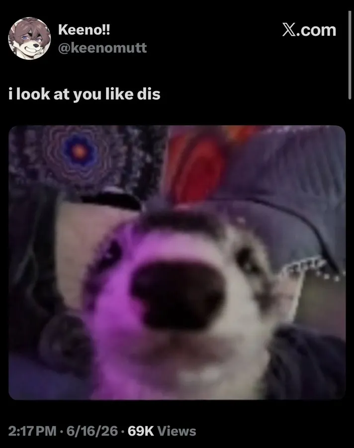 Untitled meme