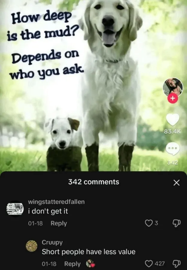 Untitled meme