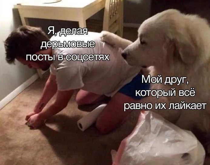 Untitled meme