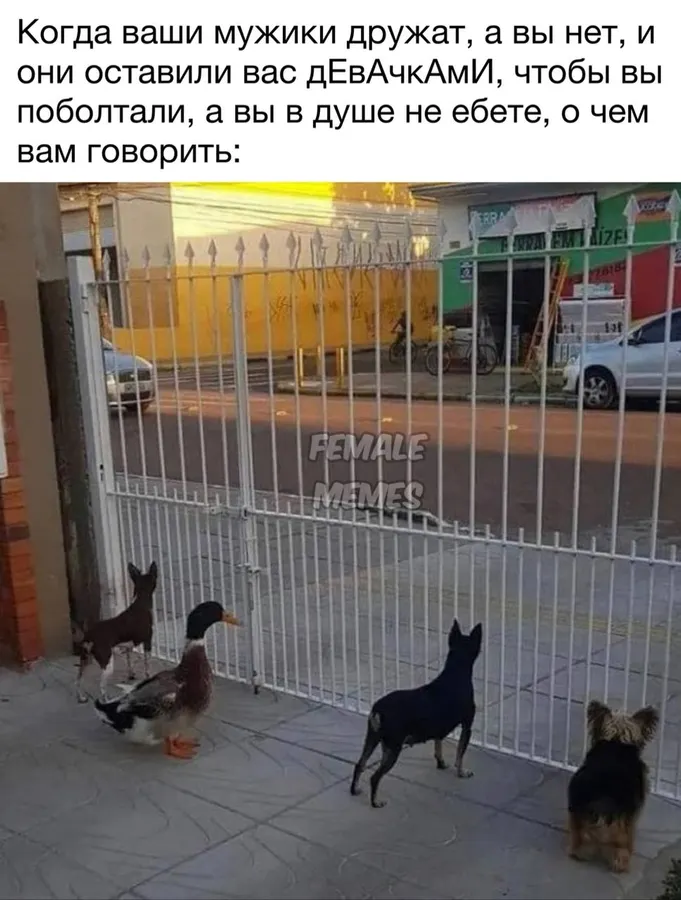 Untitled meme