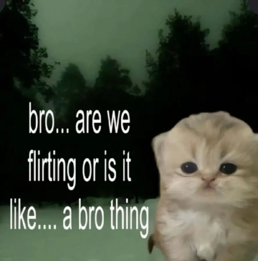 Untitled meme
