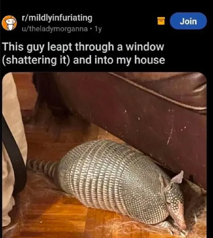 Untitled meme