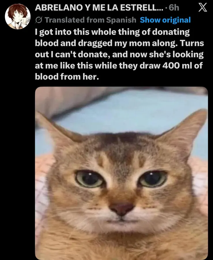 Untitled meme