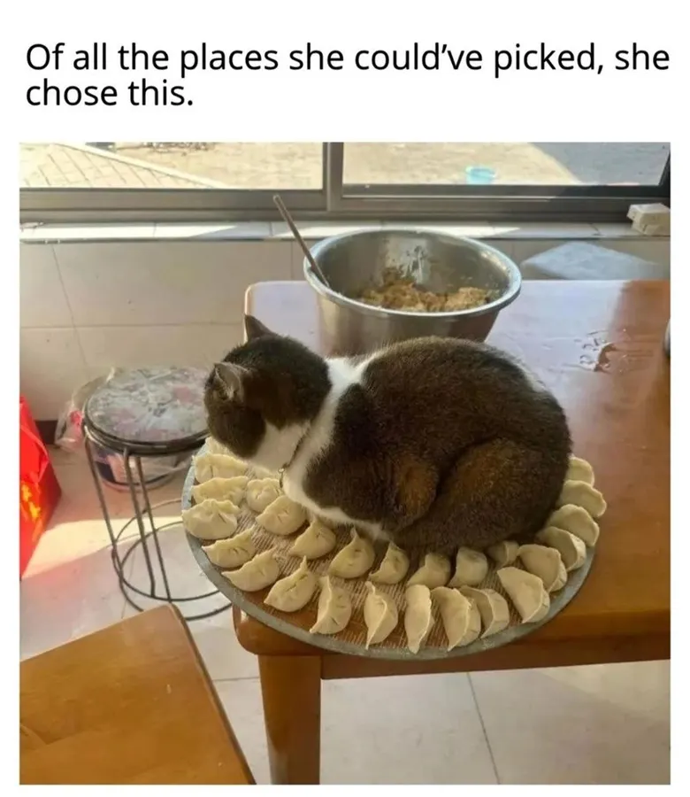 Untitled meme