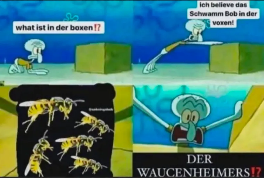 Untitled meme
