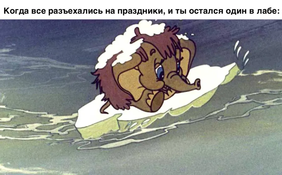Untitled meme
