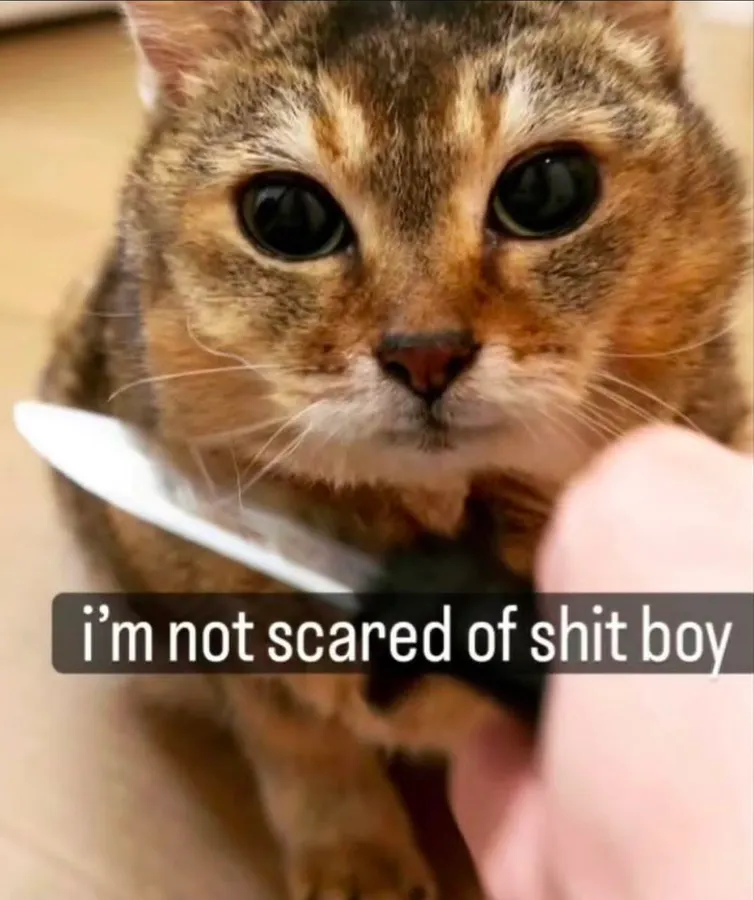 Untitled meme