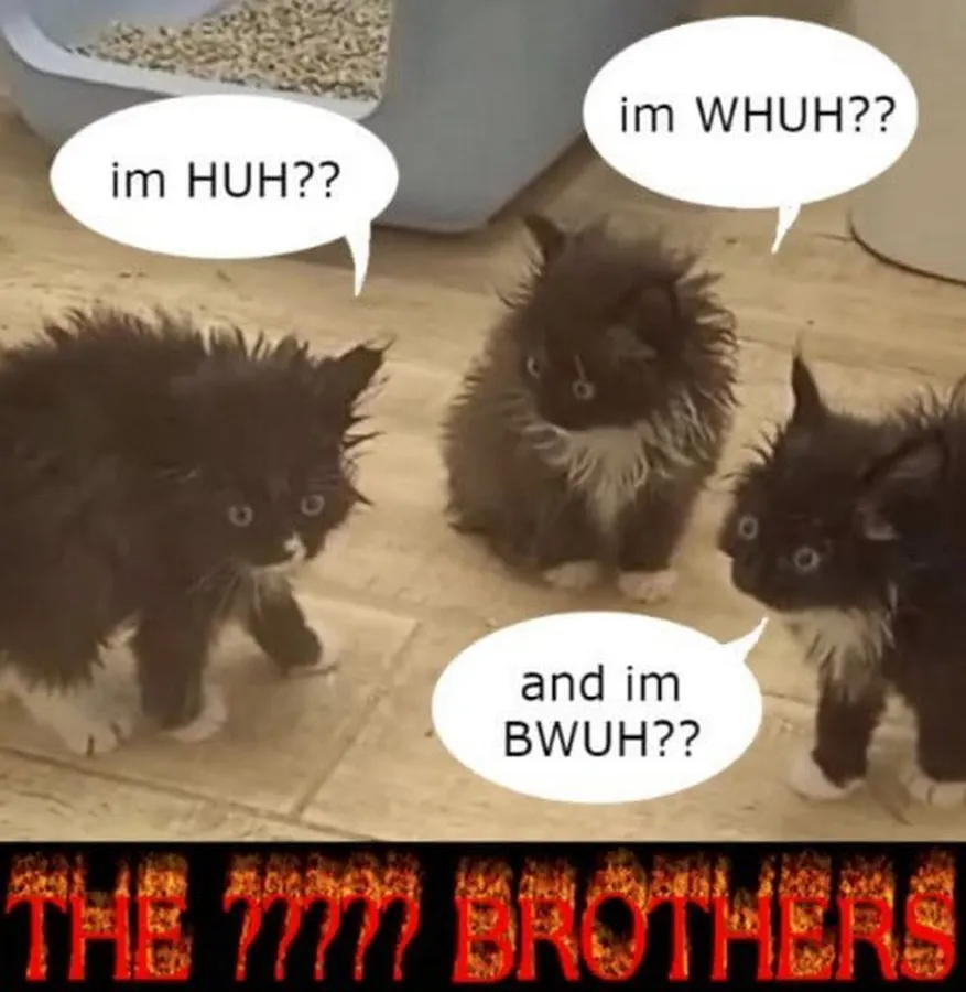 Untitled meme