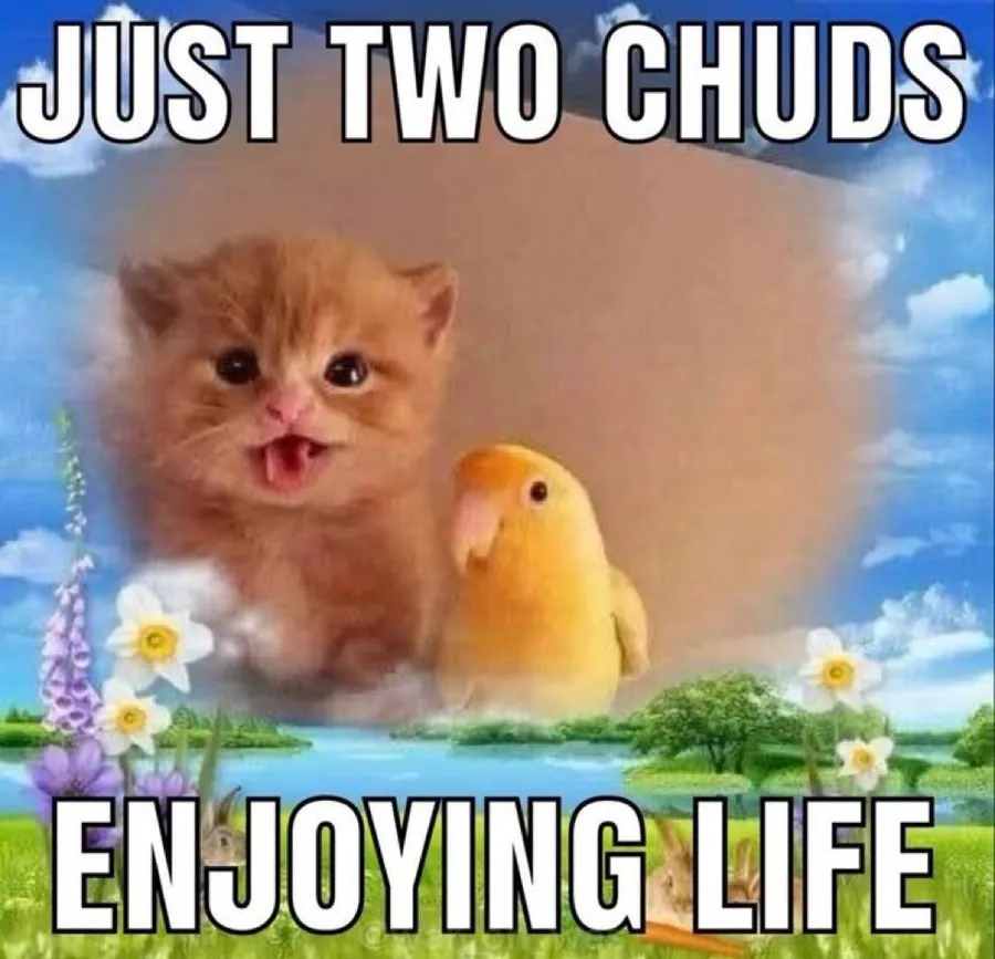Untitled meme