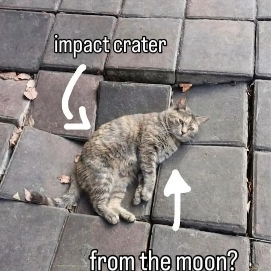 Untitled meme