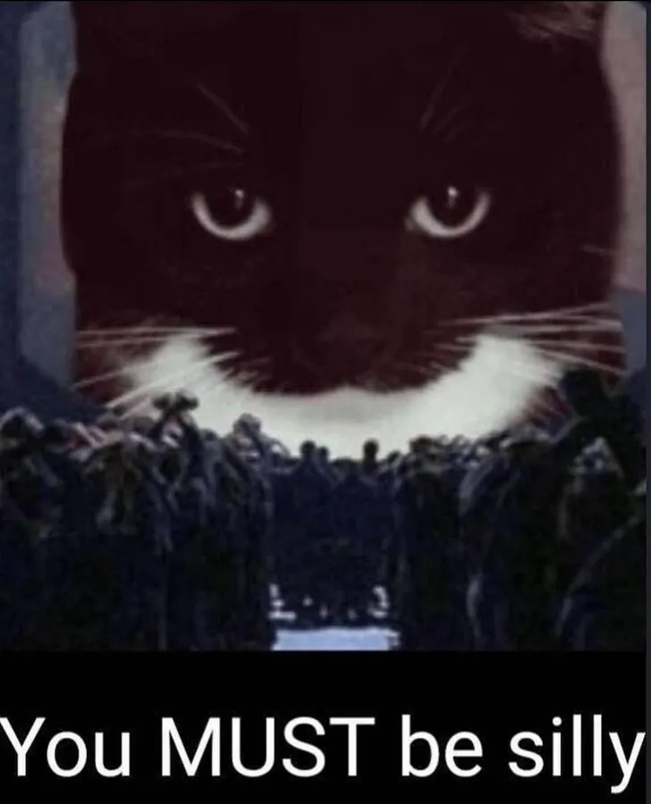 Untitled meme
