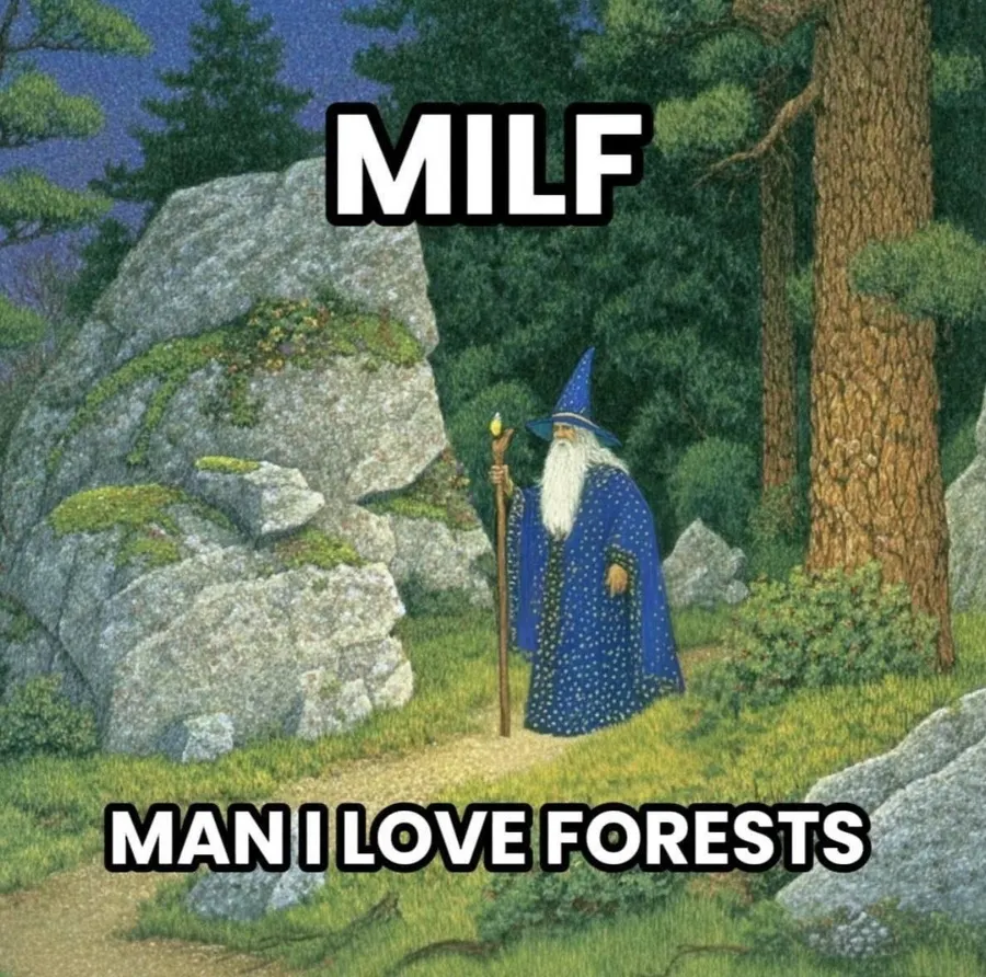 Untitled meme